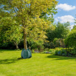 Gartenanlage mit Rasenfläche im Sommer