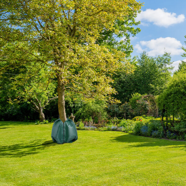 Gartenanlage mit Rasenfläche im Sommer