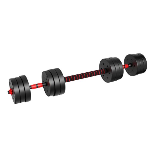 Hantelių rinkinys Lion 20