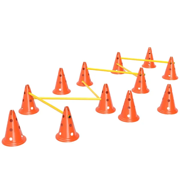 Šunų treniruočių rinkinys PawHut, geltonos/oranžinės spalvos