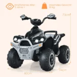 kinderquad-elektroquad-tq10060us-dk_9_.webp