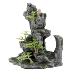 Akvariumo augalai, dekoracijos