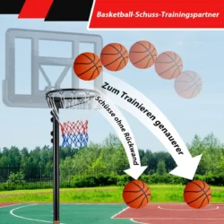 Krepšinio stovas 74x55x305cm., įvairių spalvų