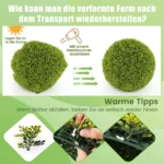 buchsbaum-kugelpflanzen-12300_5_.webp