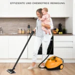 dampfreiniger-kesseldampfreiniger-14387_2_.webp