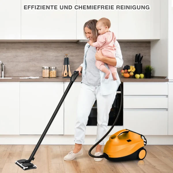 dampfreiniger-kesseldampfreiniger-14387_2_.webp