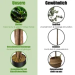 feigenbaum-kunstpflanze-hw66027_7_.webp