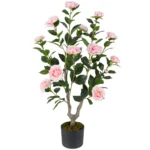 kamelienpflanze-zimmerpflanze-13313_1_.webp