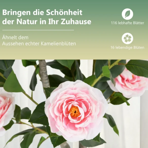 kamelienpflanze-zimmerpflanze-13313_3_.webp