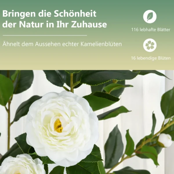 kamelienpflanze-zimmerpflanze-13314_3_.webp