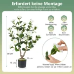 kamelienpflanze-zimmerpflanze-13314_7_.webp
