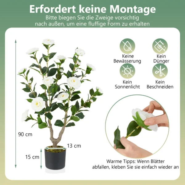 kamelienpflanze-zimmerpflanze-13314_7_.webp