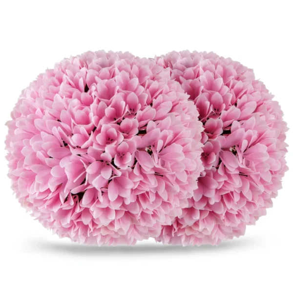 Rinkinys iš 2 buksmedžio rutulių 28x28cm., rožinės spalvos