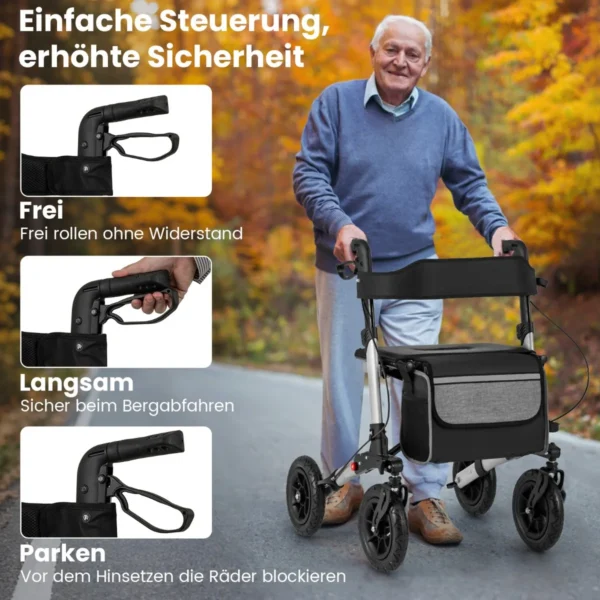 rollator-rollstuhl-13394_5__1.webp