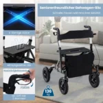 rollstuhl-reiserollator-13256.webp