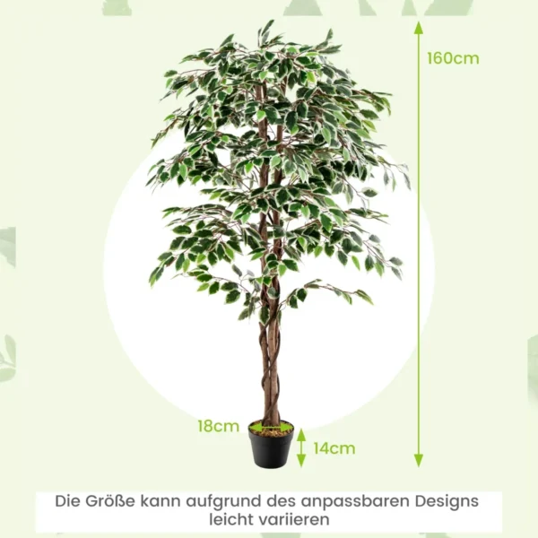 zimmerpflanze-hz10186_6_.webp